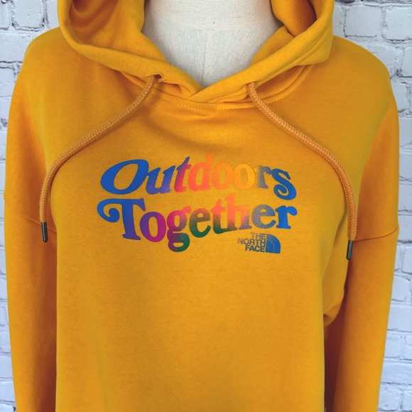 The North Face Pride Outdoors Together Hoodie--Sz L - Picture 2 of 15